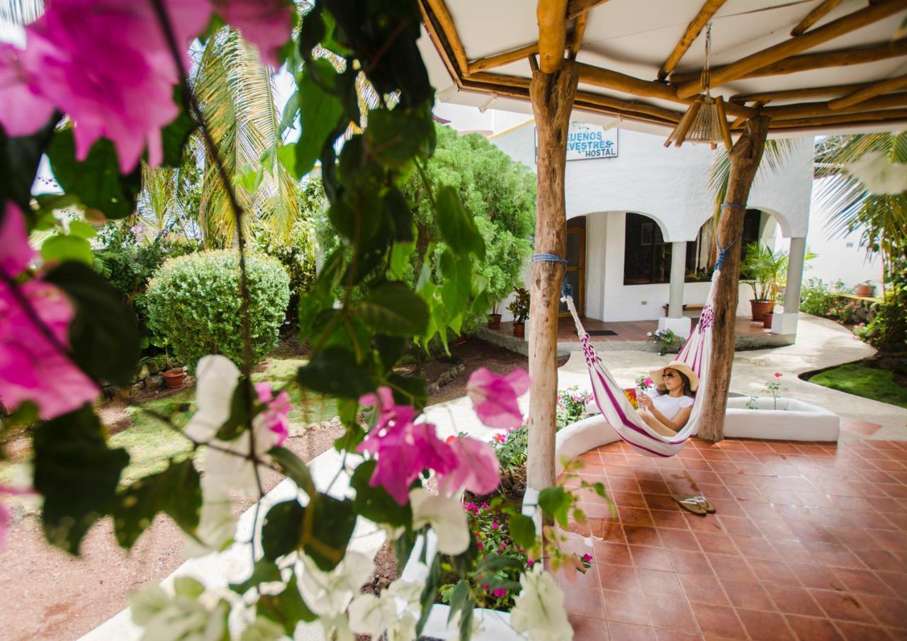 Hostal Suenos Silvestres Puerto Ayora  Luaran gambar